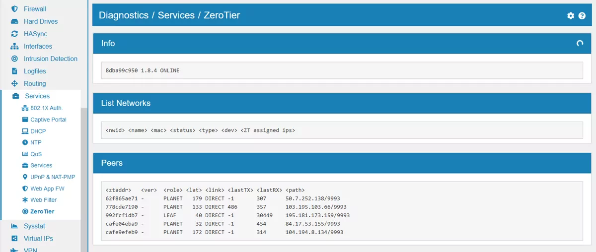ZeroTier Diagnostics