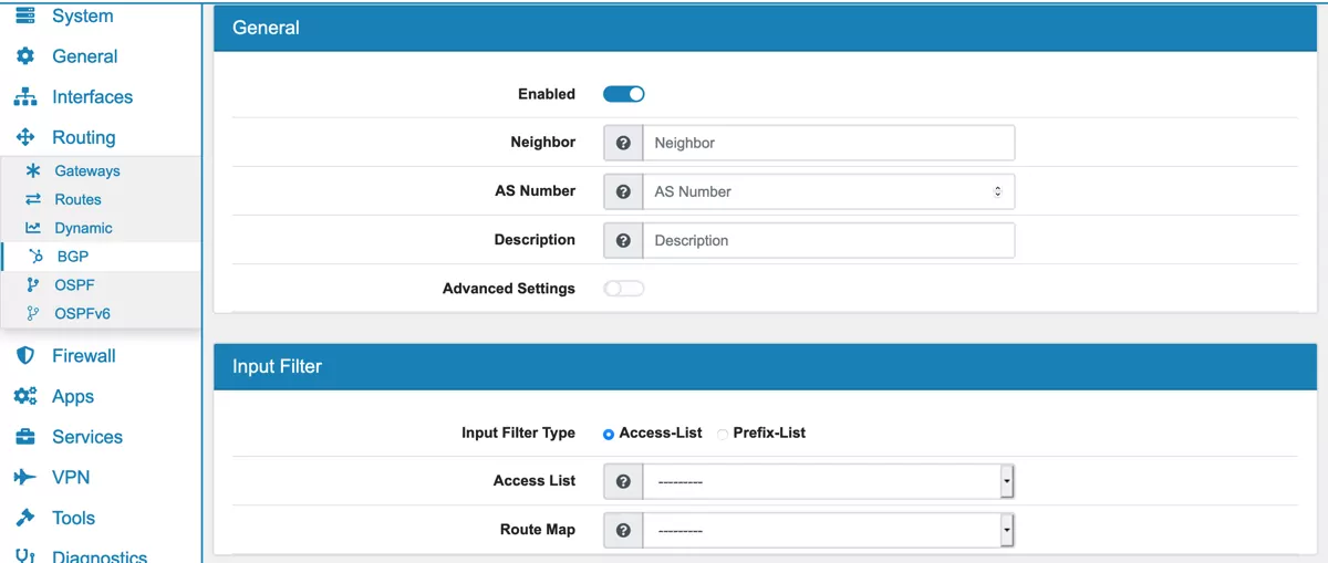 Routing BGP Neighbor