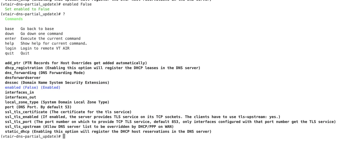 |prodname| CLI DNS Enable